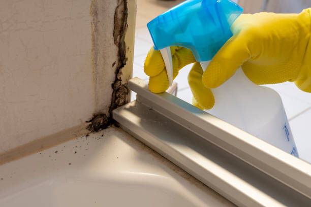 Best Commercial Mold Inspection  in Airy Heights, WA